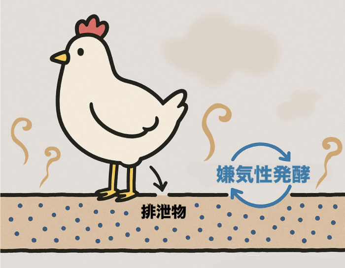 従来