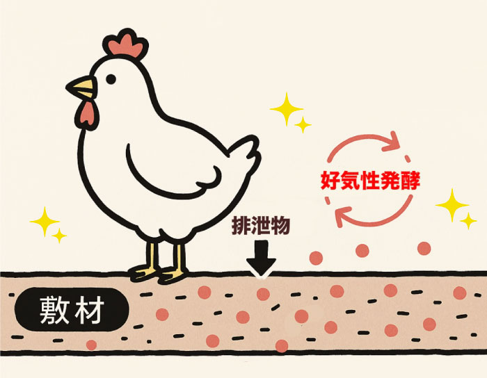 まるわ酵素使用